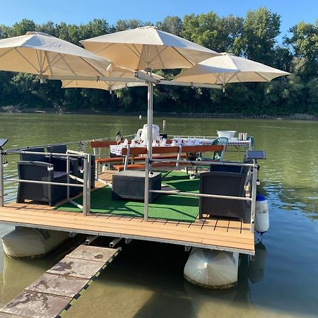 Voeroes Alom Panzio Bed & Breakfast Tiszakécske Dış mekan fotoğraf