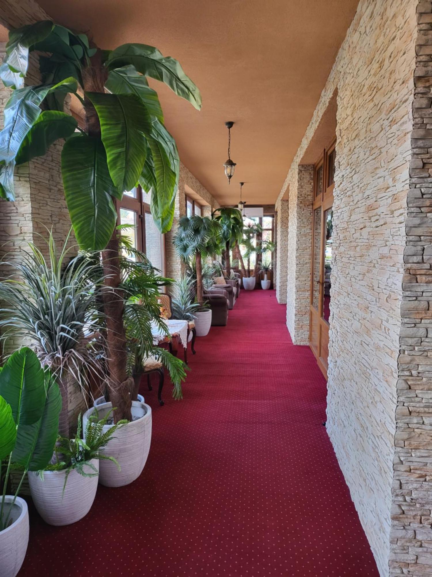Voeroes Alom Panzio Bed & Breakfast Tiszakécske Dış mekan fotoğraf