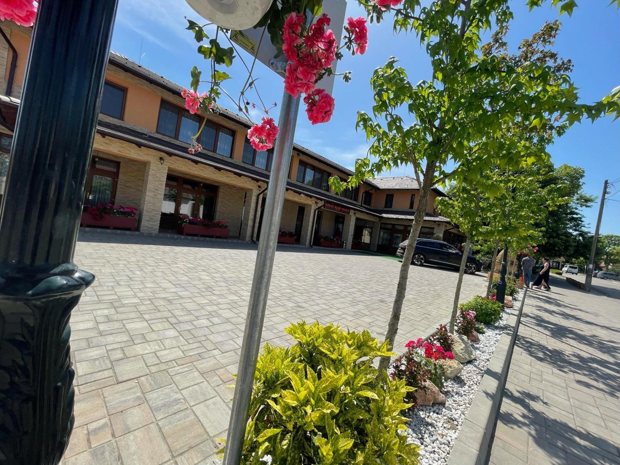 Voeroes Alom Panzio Bed & Breakfast Tiszakécske Dış mekan fotoğraf